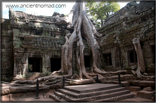 Ta Prohm - Angkor Wat - Siem Reap - Cambodia