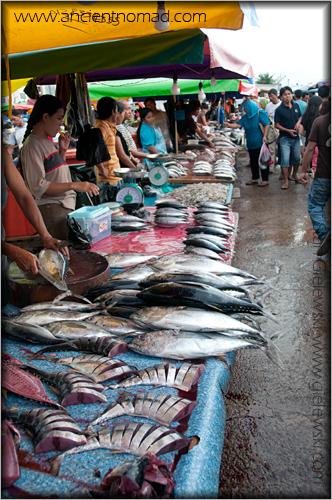 Kota Kinabalu, Malaysia, Borneo