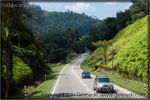 Cameroan Highlands - Malaysia