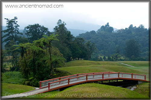 Cameroan Highlands - Malaysia