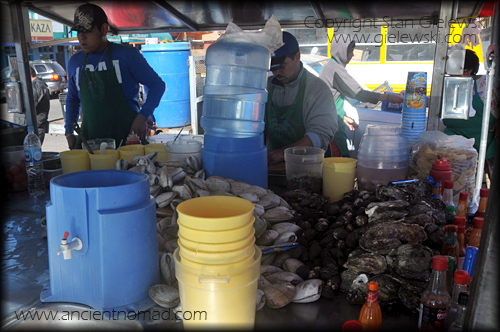 Mexico Ensenada ceviche octopus