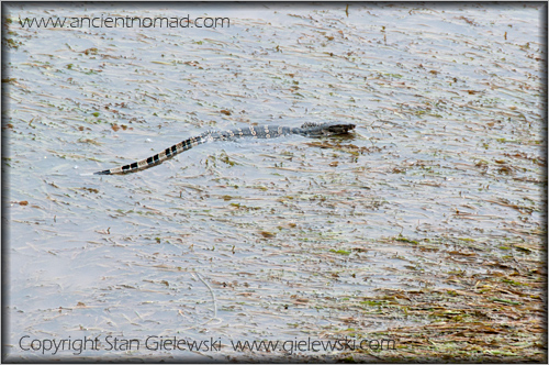 Kanchanaburi - Thailand