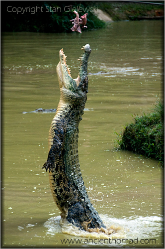 Kuching, Jong's Crocodile Farm - Malaysia