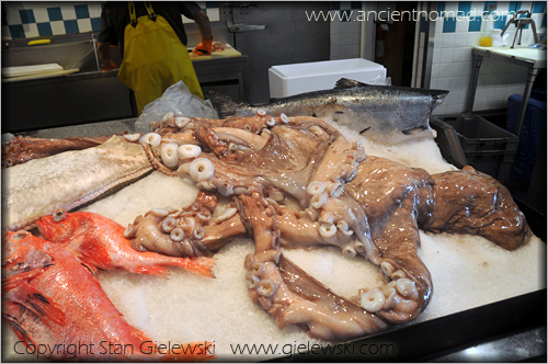Vancouver - Pacific octopus